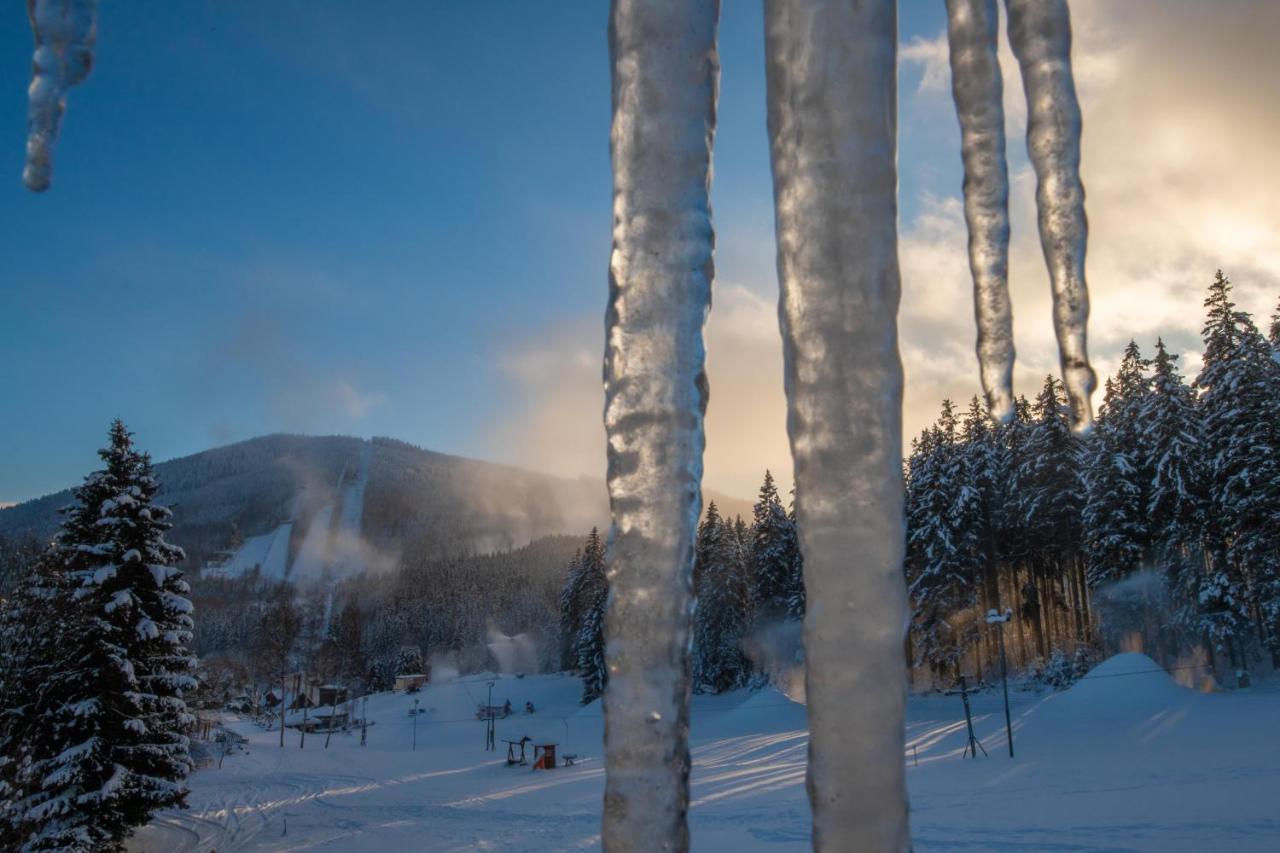 Wellness Hotel Sedy Vlk Harrachov Bagian luar foto