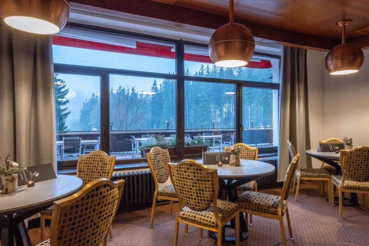 Wellness Hotel Sedy Vlk Harrachov Bagian luar foto