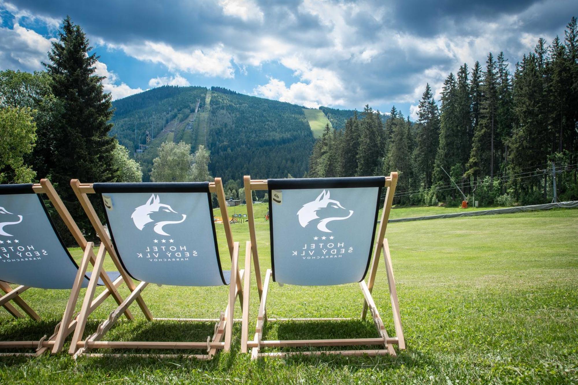 Wellness Hotel Sedy Vlk Harrachov Bagian luar foto