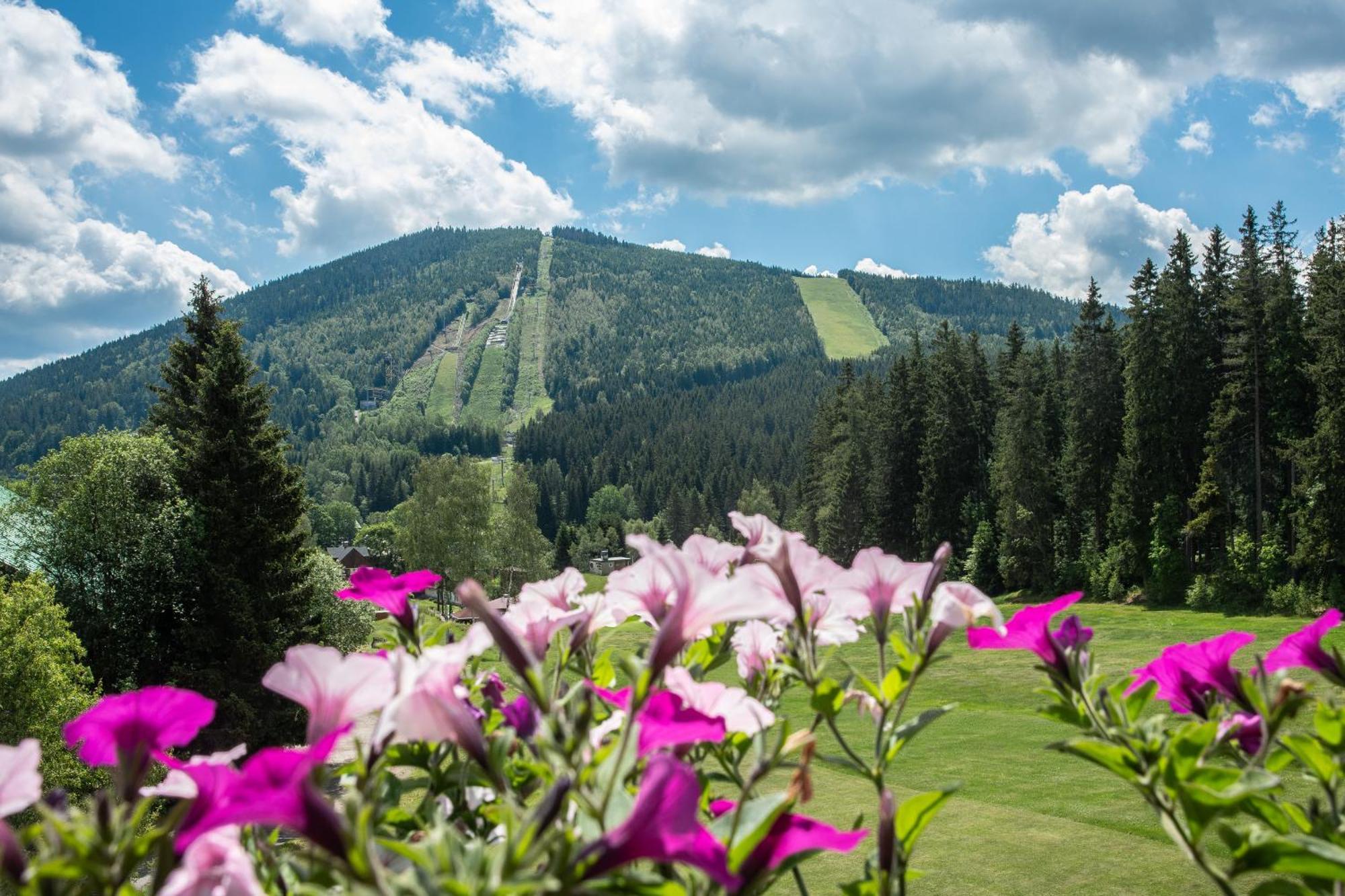 Wellness Hotel Sedy Vlk Harrachov Bagian luar foto