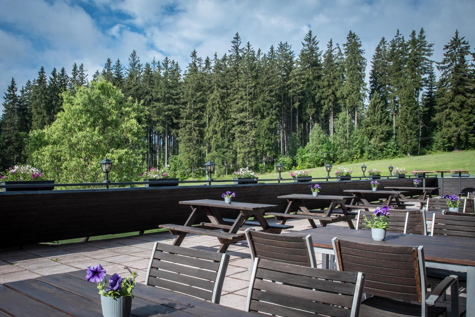 Wellness Hotel Sedy Vlk Harrachov Bagian luar foto